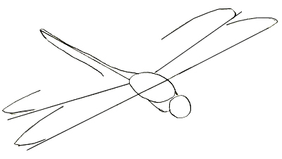 Как нарисовать стрекозу, шаг 3