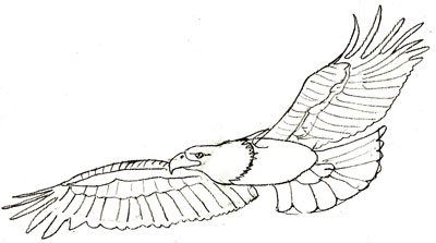 Как нарисовать орла, шаг 5