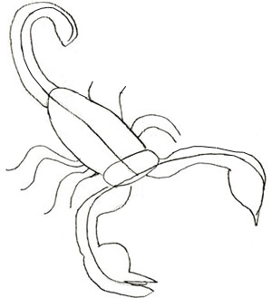 Рисунок скорпиона карандашом, шаг 3