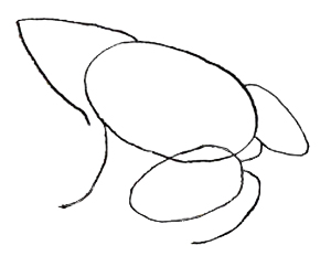 Как нарисовать лягушку, шаг 2