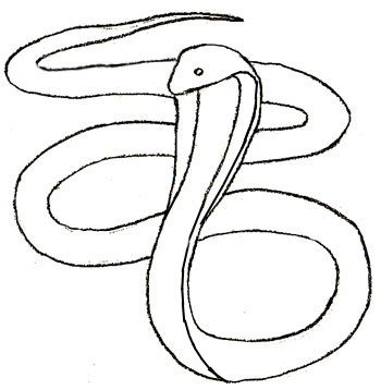 Как нарисовать змею, шаг 4