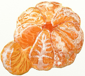 Рисунок мандарина, шаг 7